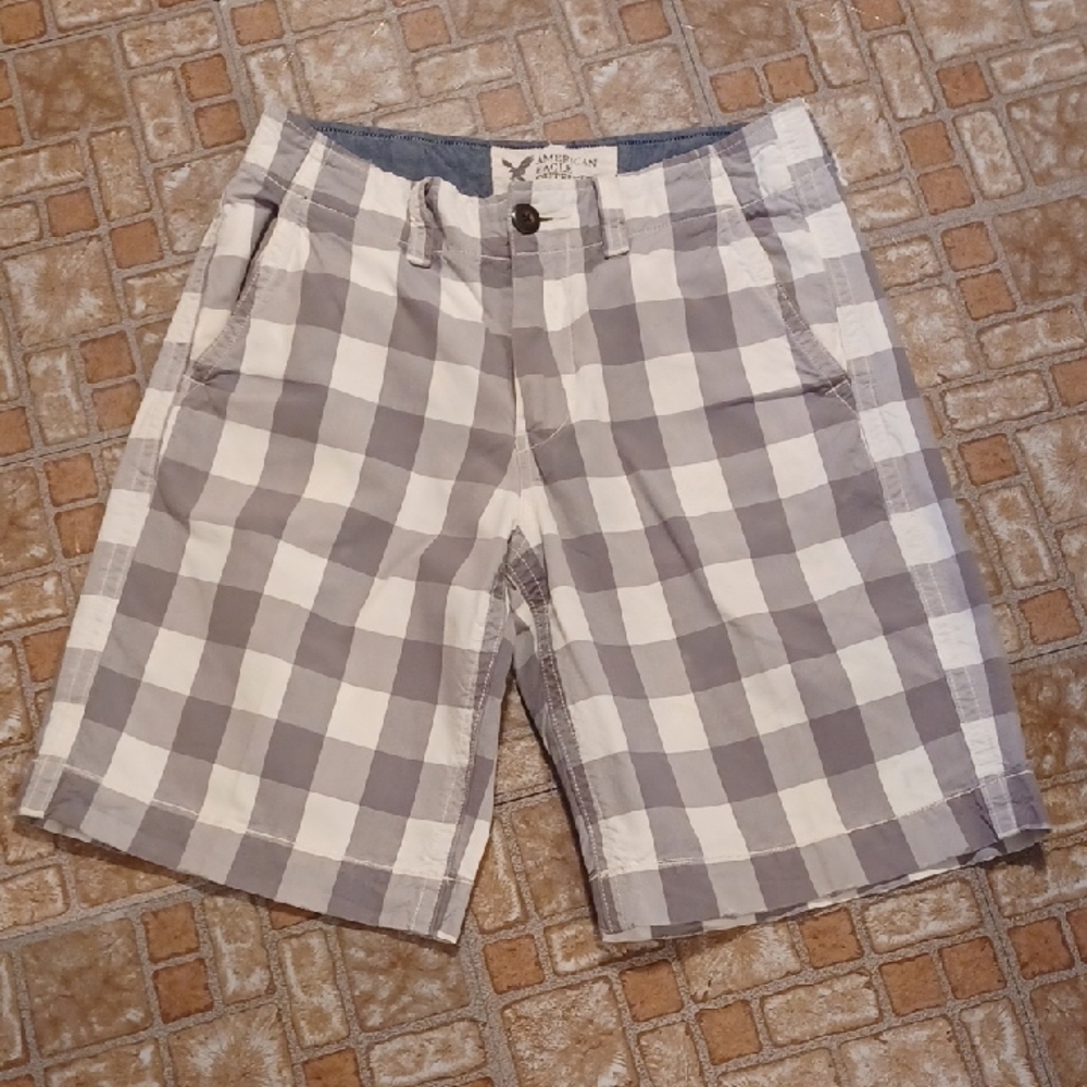 American Eagle Outfitters Gray and White Flat Front Shorts Size 29